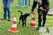 Welpen  06.09.2025 25